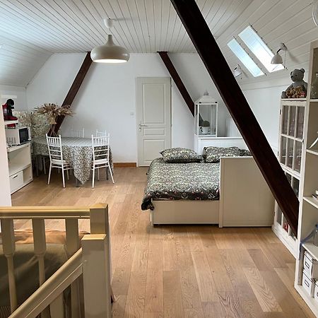 Etage Entier Prive, 45M2 Chez Regine Villa Schiltigheim Ngoại thất bức ảnh