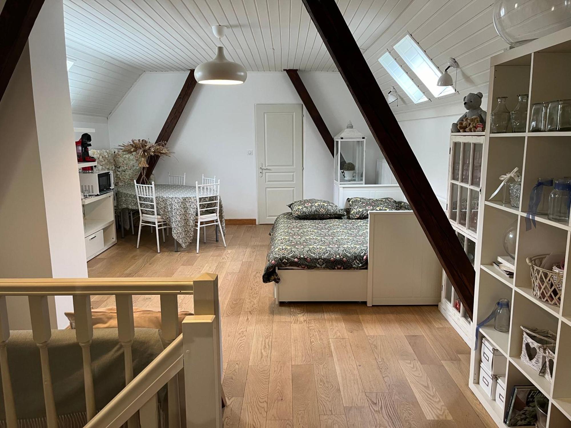 Etage Entier Prive, 45M2 Chez Regine Villa Schiltigheim Ngoại thất bức ảnh