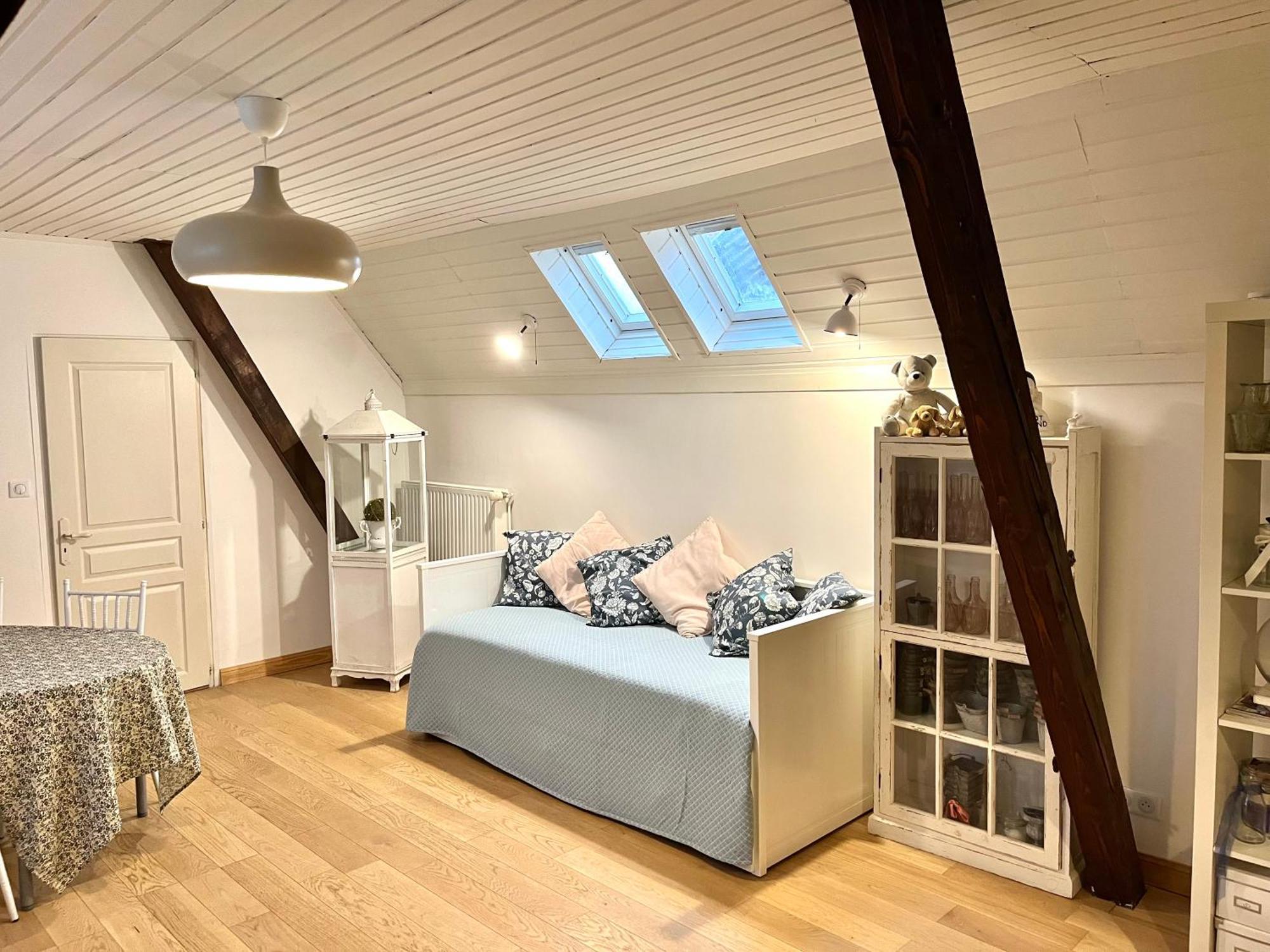 Etage Entier Prive, 45M2 Chez Regine Villa Schiltigheim Ngoại thất bức ảnh