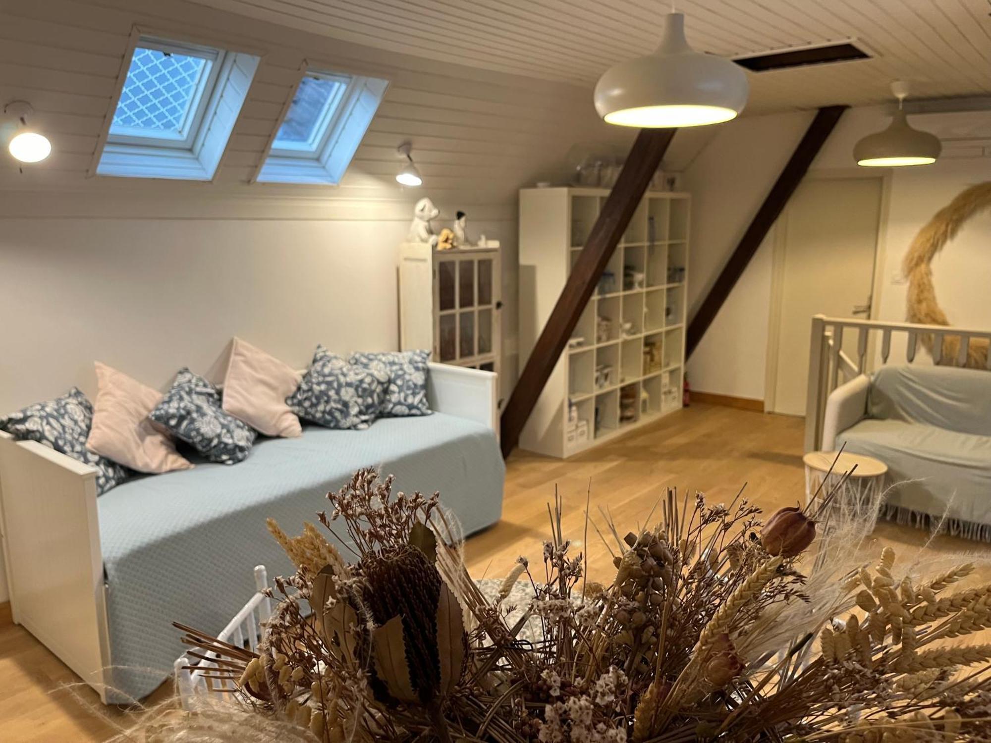 Etage Entier Prive, 45M2 Chez Regine Villa Schiltigheim Ngoại thất bức ảnh